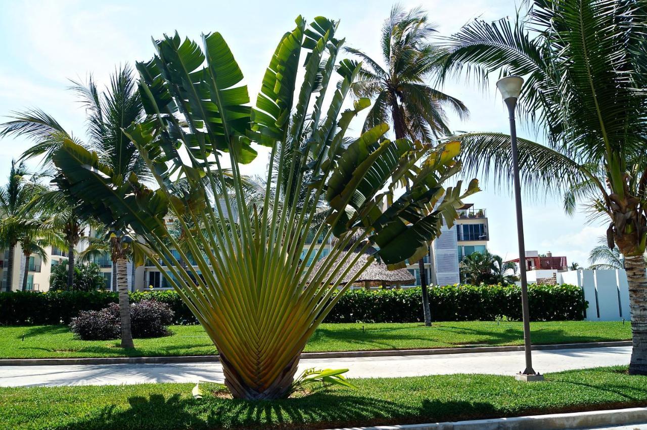 Penthouse Con Jacuzzi En Acapulco Diamante Apartment Luaran gambar